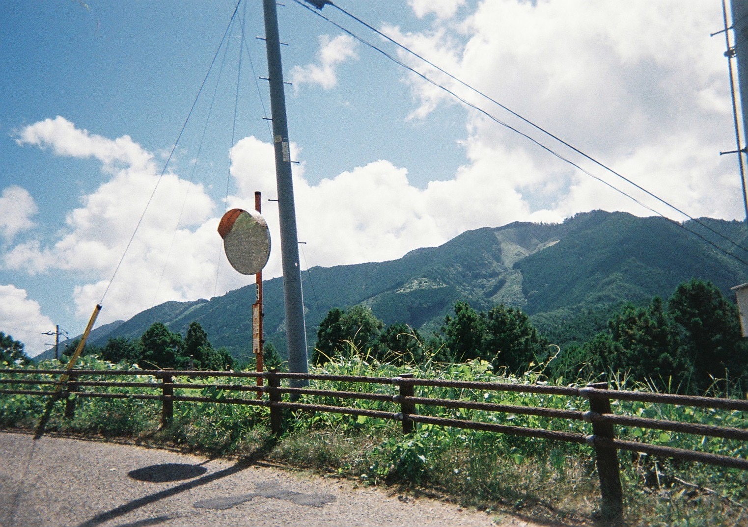 和歌山_熊野古道